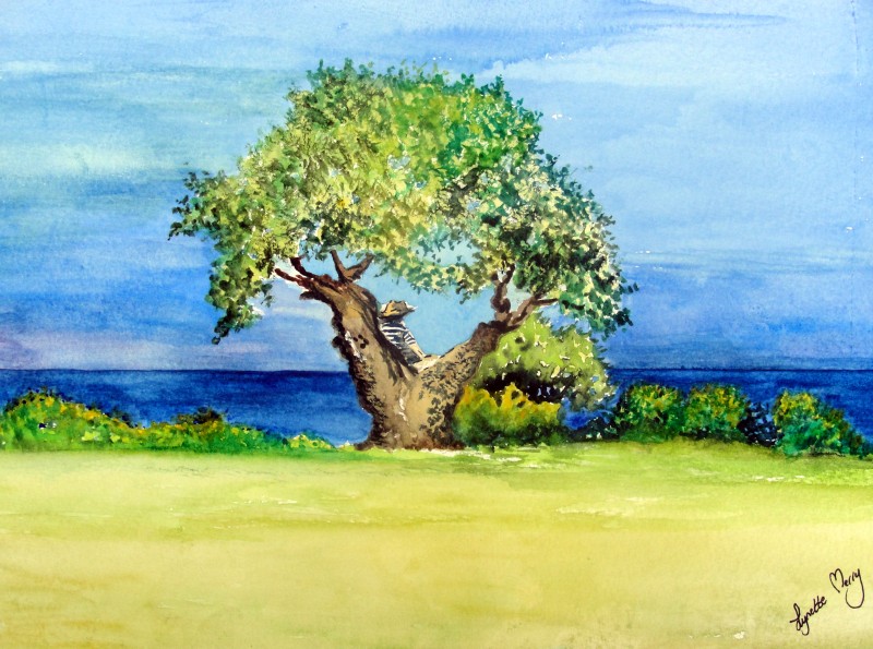 Under the Olive Tree Card